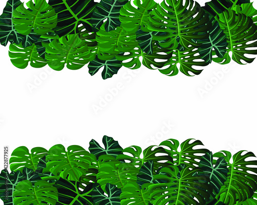 tropical leaves frame border upside down with monstera leaves - vector border frame with tropical leaves 