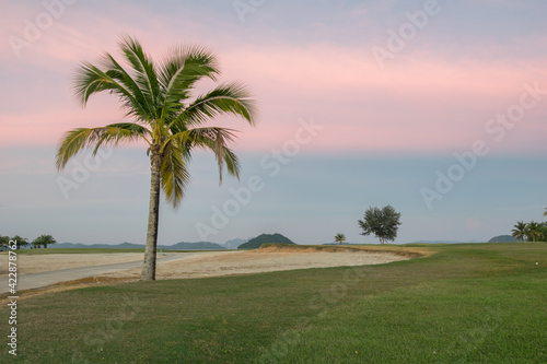 Coconut Trees and sand in golf course with color sky