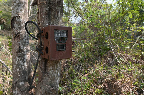 Installing wildlife camera traps