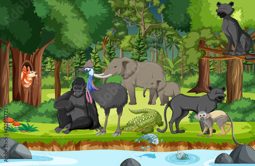 Rainforest scene with wild animals