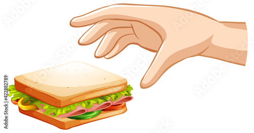 Hand trying to grab sandwich on white background