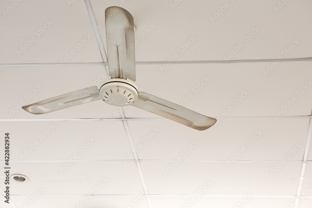 Old white ceiling fans on the ceiling of the room  and copy space