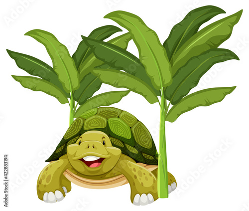 Turtle cartoon character with banana tree isolated