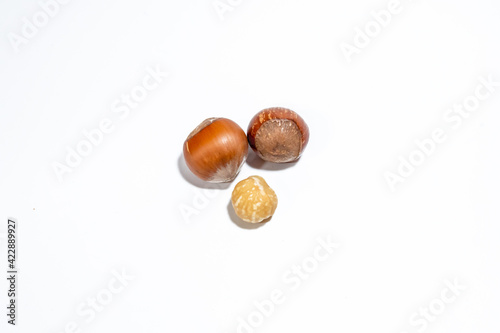 three hazelnuts in the shell and without on a white background