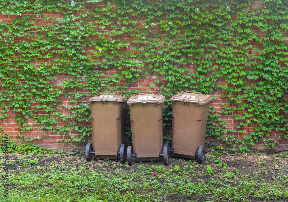 trois bac à poubelles bruns devant un mur de feuilles