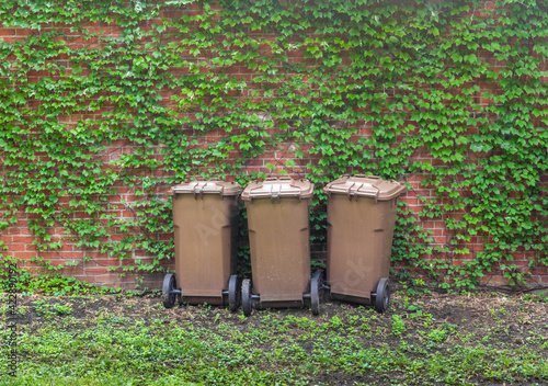 trois bac à poubelles bruns devant un mur de feuilles