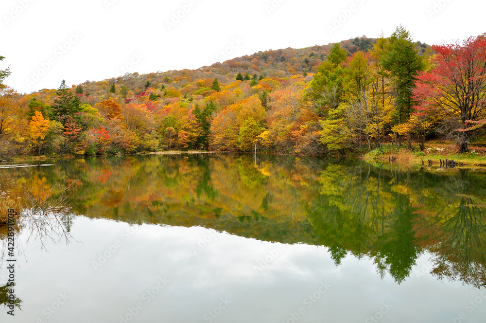 紅葉　リフレクション　湖