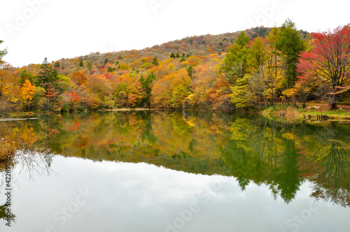 紅葉 リフレクション 湖
