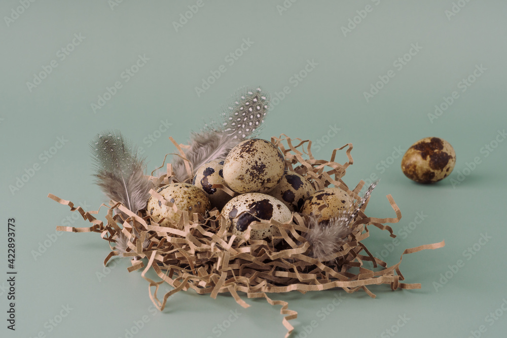 Easter nest made of hay with quail eggs and feathers on a blue background, close-up. Easter composition in pastel colors. Natural Easter background, creative layout Easter nest made of hay with quail eggs and feathers on a blue background, close-up. Easter composition in pastel colors. Natural Easter background, creative layout