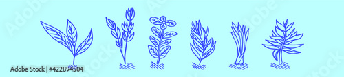 set of spices cartoon icon design template with various models. modern vector illustration isolated on blue background