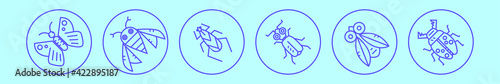 set of insect cartoon icon design template with various models. vector illustration isolated on blue background