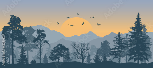 Beautiful forest on background of mountains and sunset and flying birds, silhouettes. Vector illustration