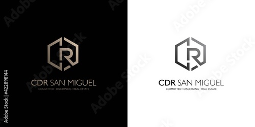 The initial letter CDR logo design modern and professional