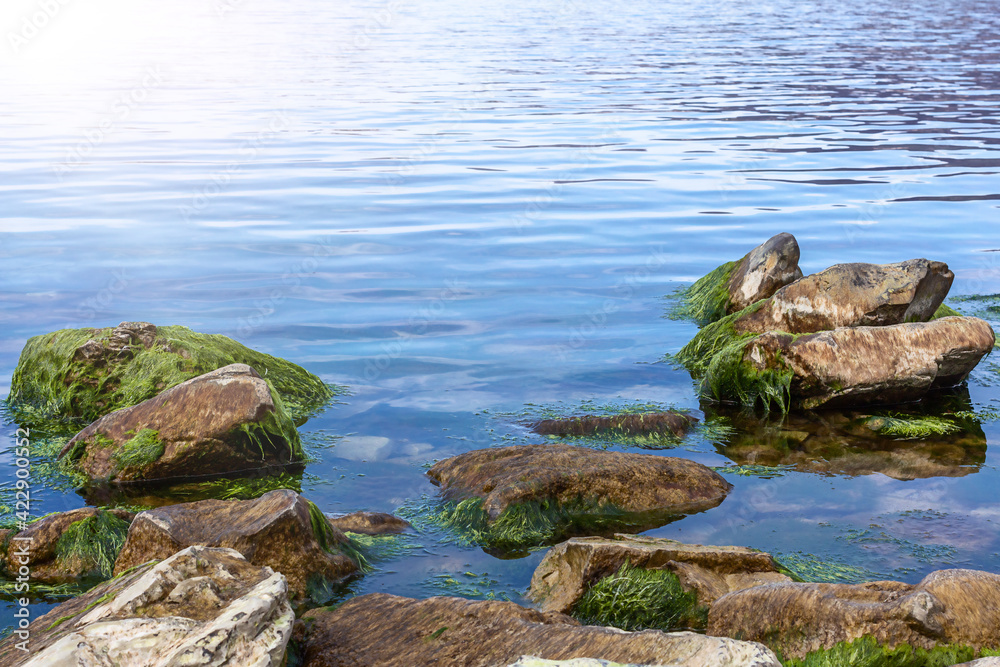 Seascape on a sunny day. Large stones with green moss on the seashore. Natural background. Copy space.