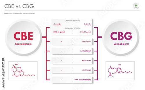 CBE vs CBG, Cannabielsoin vs Cannabigerol horizontal business infographic illustration about cannabis as herbal alternative medicine and chemical therapy, healthcare and medical vector.