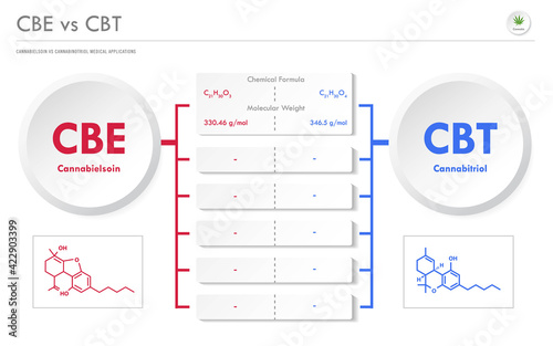 CBE vs CBT, Cannabielsoin vs Cannabitriol horizontal business infographic illustration about cannabis as herbal alternative medicine and chemical therapy, healthcare and medical vector.