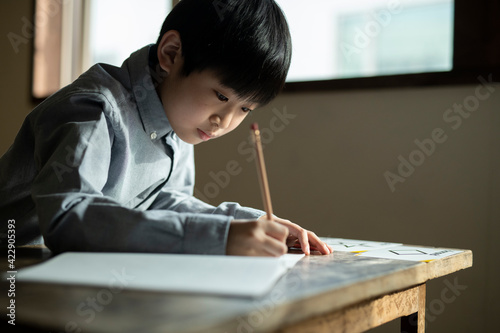 Boy Transcribing photo