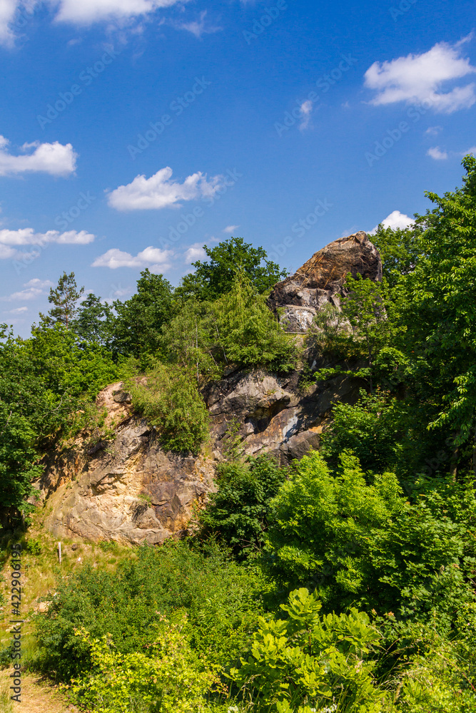 unterwegs auf dem Teufelsmauerstieg im Harz Teilstück Rieder blühende Landschaften