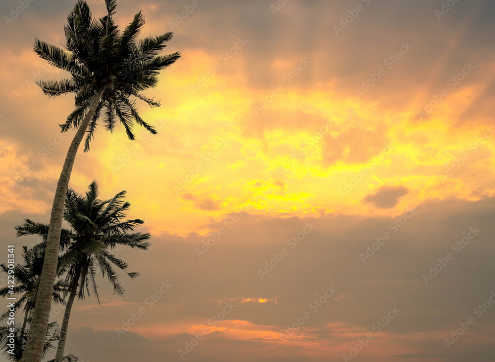 Coconut palm trees against bright orange sunset sky. Tropic paradise background.