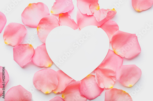 Beautiful pink rose petals and blank card on white background