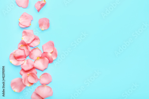Beautiful pink rose petals on color background