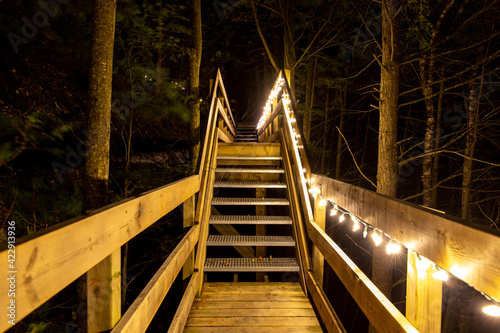 Fototapeta Naklejka Na Ścianę i Meble -  Escalier dans la forêt le soir éclairé par une rangée de lumières