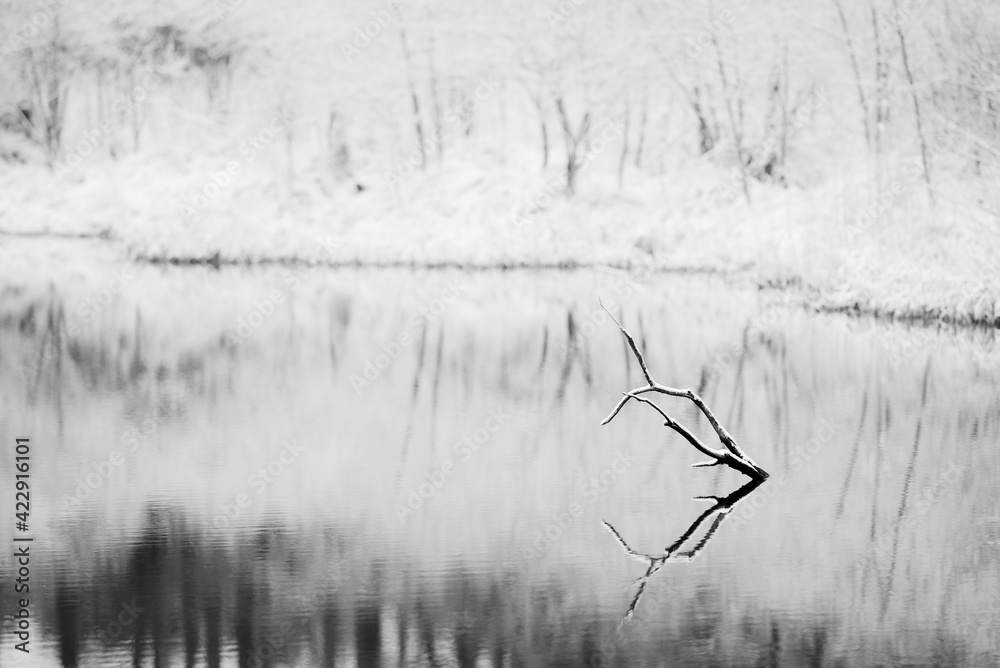 A stick above the water. Winter landscape with a pond.