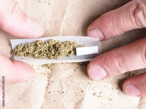 close up man's fingers twist a joint with marijuana