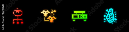 Set Genetically modified food, Cloning, Electronic scales and Bacteria icon. Vector