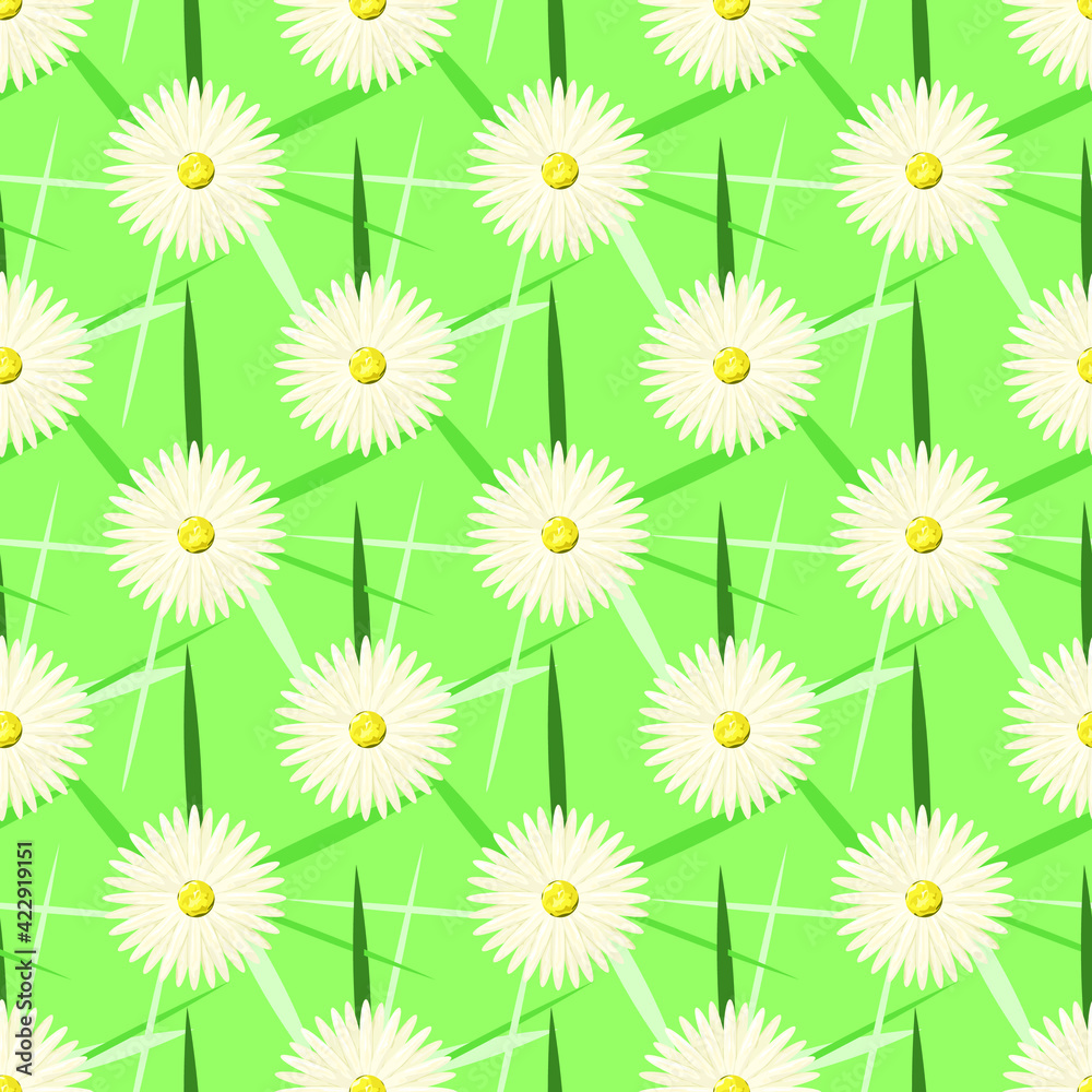 Seamless pattern with white daisies on a green background. Wildflowers Seamless pattern with white daisies on a green background. Wildflowers