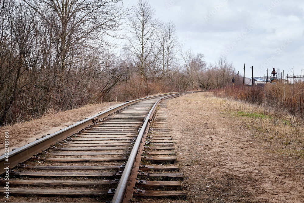 Railway among bare and bald trees on an autumn or spring day Railway among bare and bald trees on an autumn or spring day