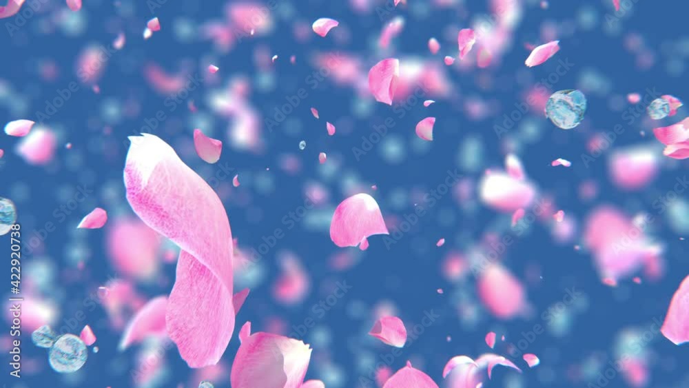 Water drops exploding with flower petals in super slow motion 4K