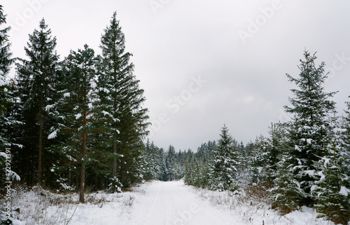 Winterlandschaft in Neuhof - Waldviertel - Niederösterreich
 photo