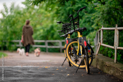 Sharing bicycles with walking with dogs girl on background bockeh