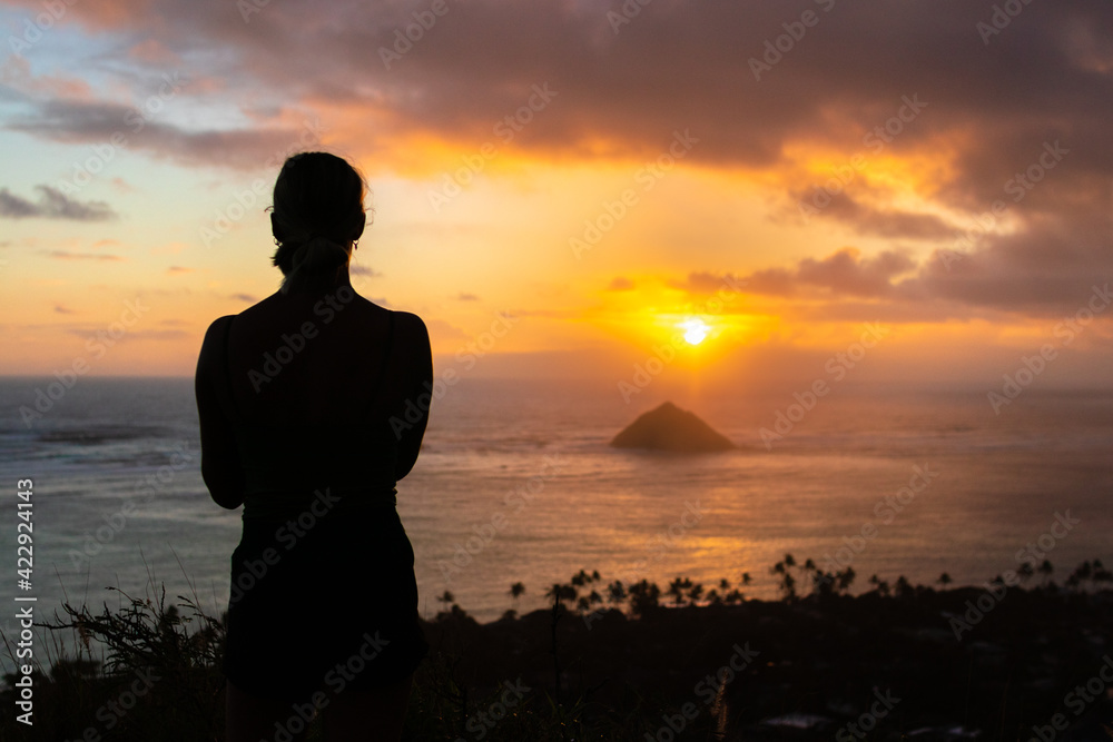 Fototapeta premium Hawaii