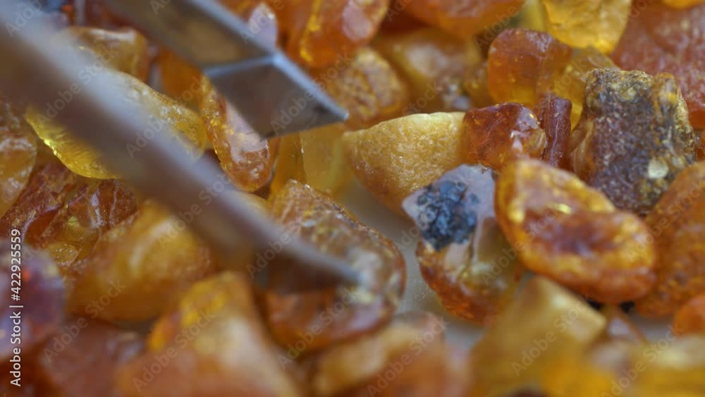 Inspecting Collection of Raw Amber Stone with Tweezers Macro Inspecting Collection of Raw Amber Stone with Tweezers Macro