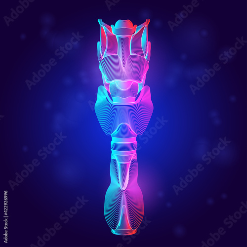Human trachea medical structure. Outline vector illustration of the hyoid bone and thyroid cartilage organ anatomy in 3d line art style on neon abstract background