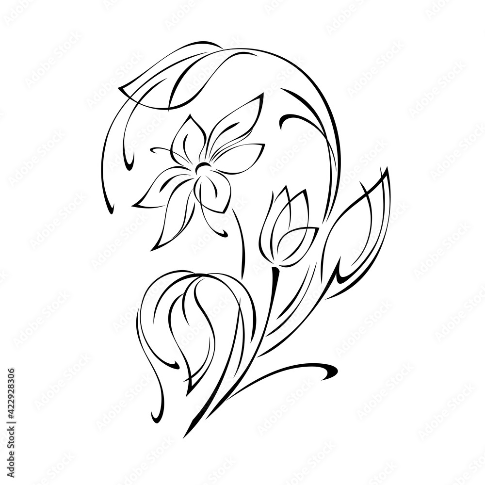 stylized flower with large petals on a stem with leaves and with one bud in black lines on a white background