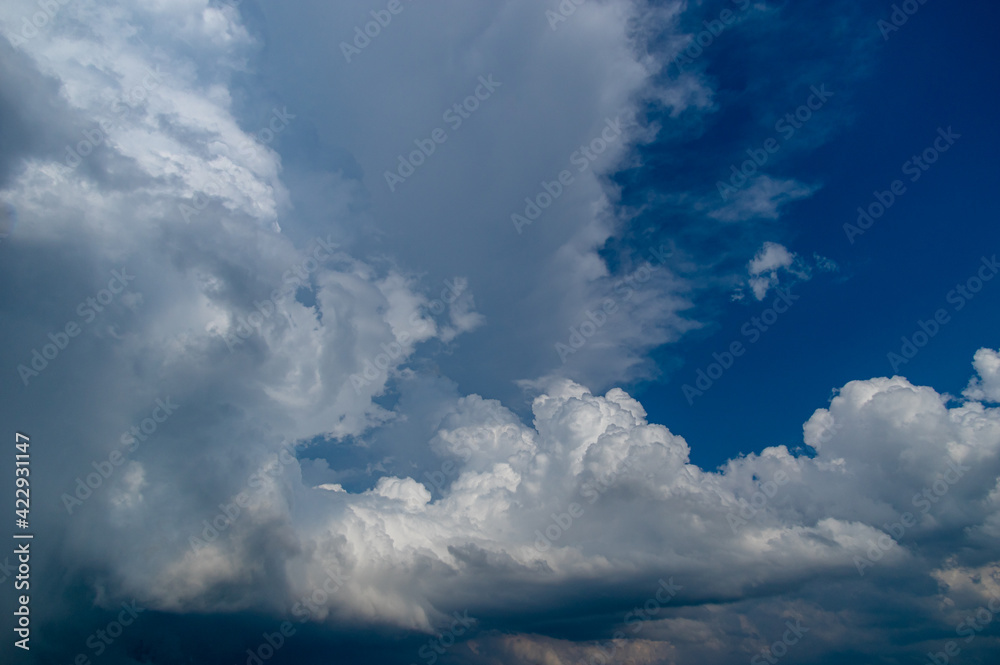 Obraz premium Cumulus clouds in a blue sky.