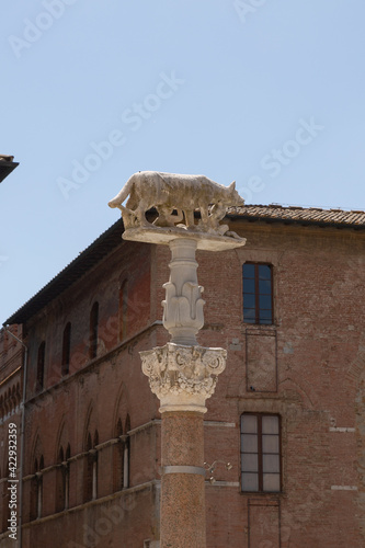 Romulus and Remus statue at Plaza Tolomei in Siena, Italy photo