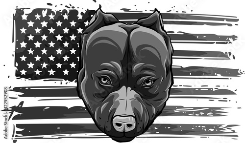 design of Head Bully Dog with american flag