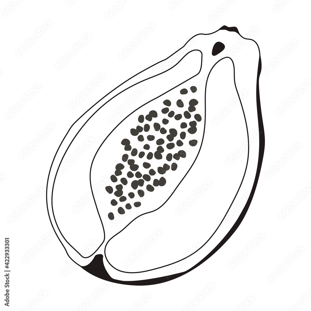 Papaya fruit slice in doodle style. Inner sides exotic fruit. Illustration isolated on white background for print, icon, packaging, logo, menu Papaya fruit slice in doodle style. Inner sides exotic fruit. Illustration isolated on white background for print, icon, packaging, logo, menu