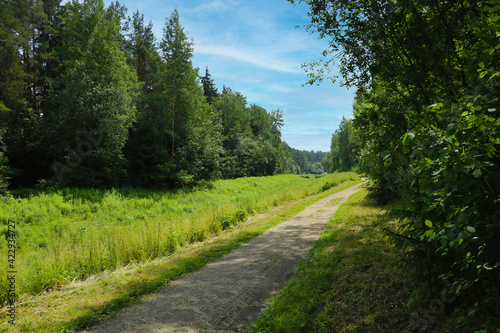 A path for walking and cycling along the forest.