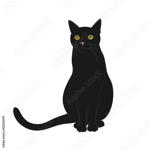 A black smooth-haired cat with large green eyes is sitting. Isolated on a white background. Vector illustration in cartoon style.