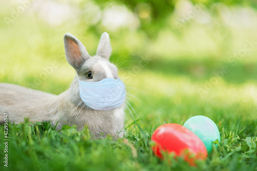 Easter bunny in medicine mask and eggs on spring green grass. Cute rabbit. Easter egg hunt with pet bunny. Happy Easter on quarantine coronavirus pandemic. safety social distance. © Serenkonata