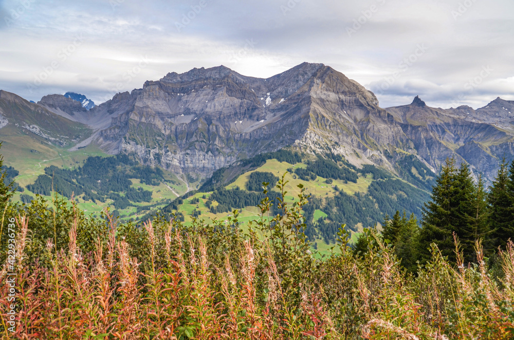 Fototapeta premium Bergpanorama oberhalb von Adelboden im Berner Oberland