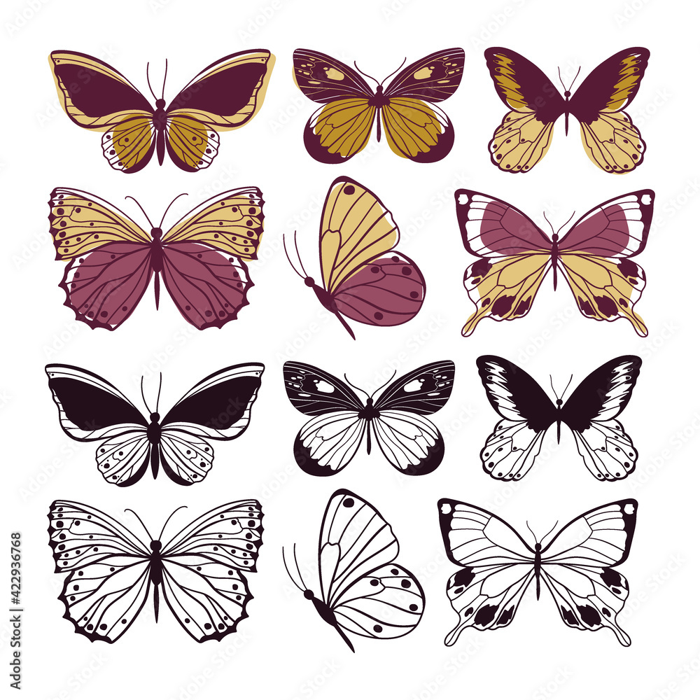 Butterflies wild insect set. Arthropod animals. Vector illustration.