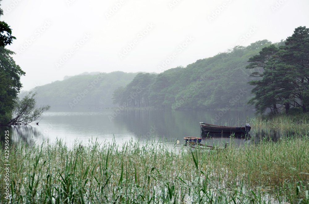 Fototapeta premium Wooden boats in a swampy lake. Foggy morning in the Irish countryside. Sadness and loneliness.