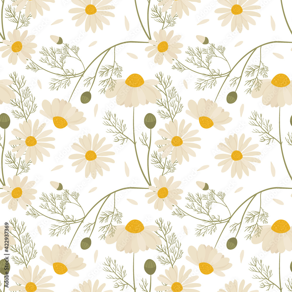 Obraz premium Vector seamless floral pattern with chamomile flowers.