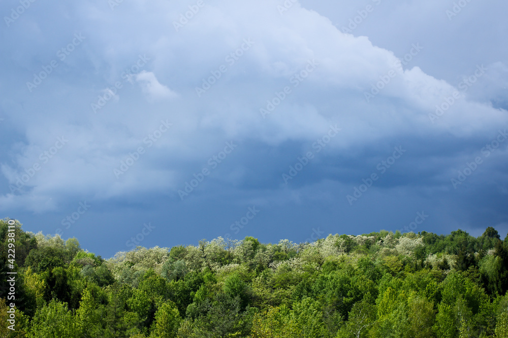 Blue sky on green foliage. Image for background. Cloudy sky before the thunderstorm. Colors of nature.